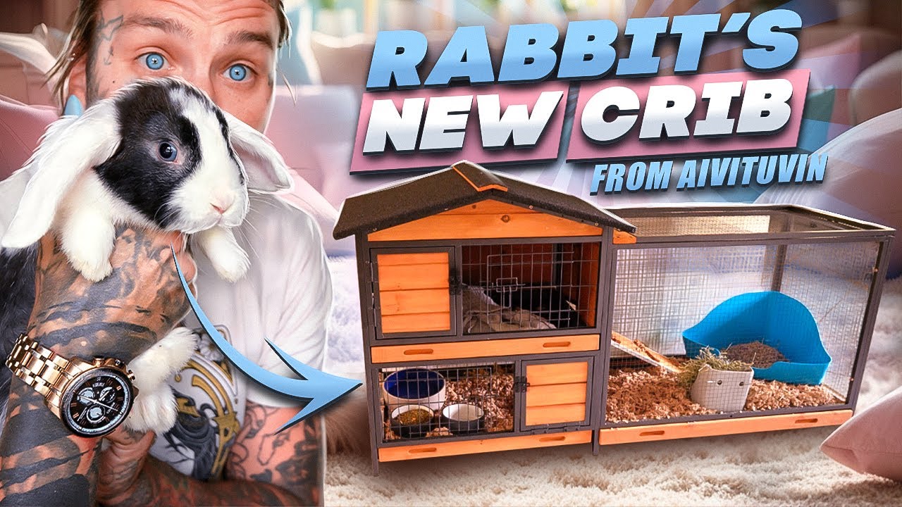 The BEST ONLINE Rabbit Enclosures | Aivituvin Habitats