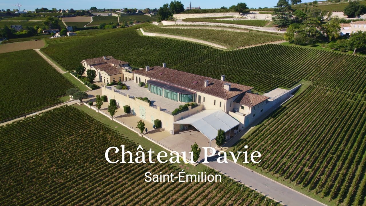 Chateau Pavie, Saint-Emilion: Full interview with Olivier Gailly