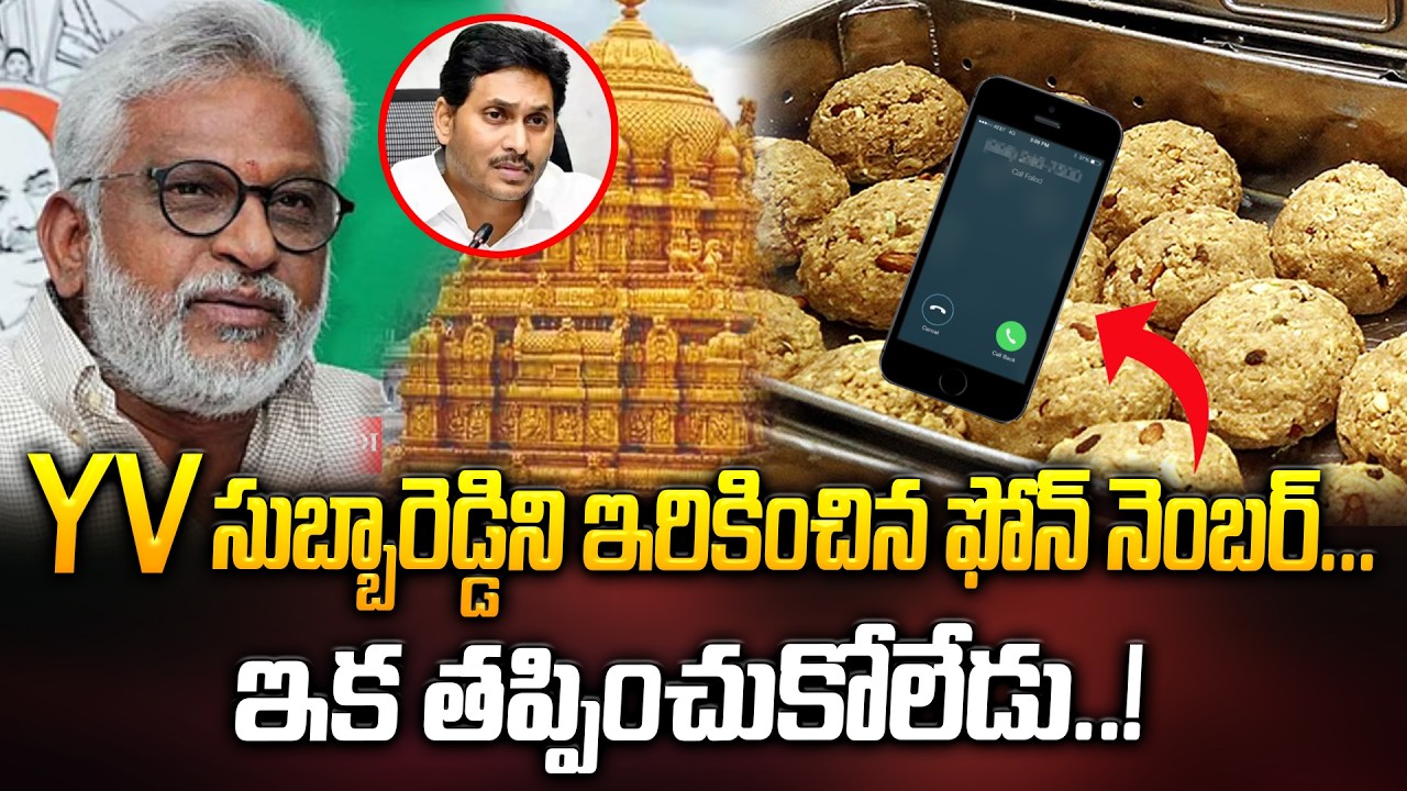 YV సుబ్బారెడ్డిని ఇరికించిన ఫోన్ నెంబర్...ఇక తప్పించుకోలేడు..! TTD Laddu Latest Update | ManamTV