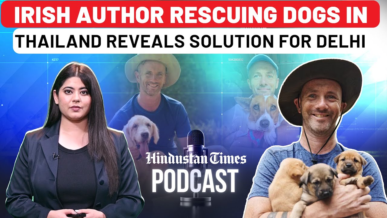 Delhi Stray Dog Debate: Irish Author Saving Dogs In Thailand Reveals 'Only' Solution| Niall Harbison