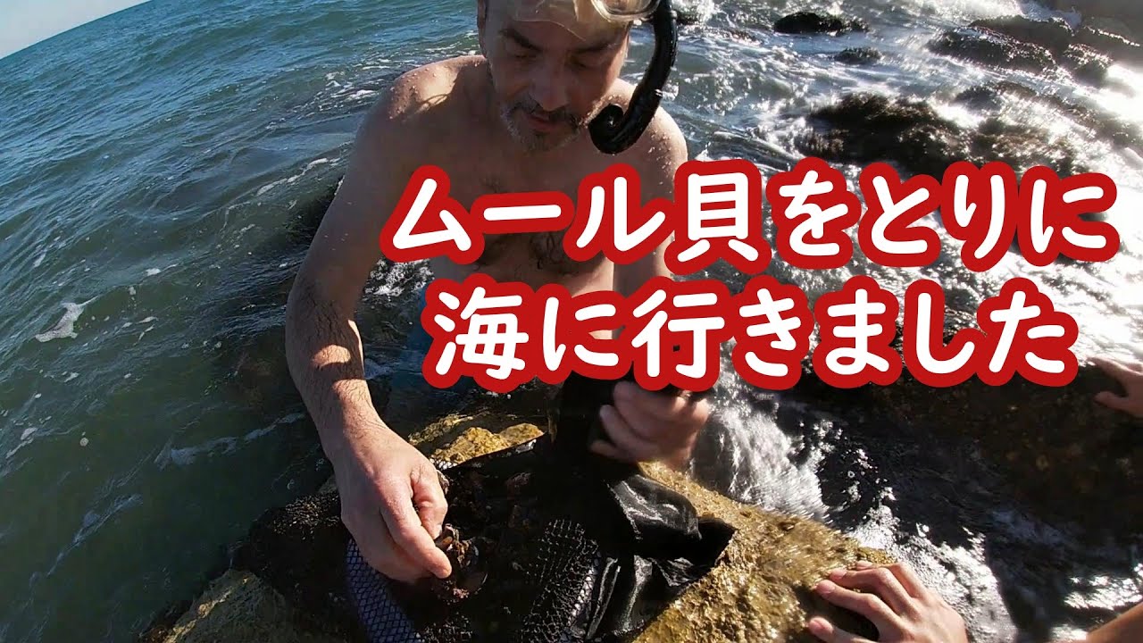海でムール貝を取って料理しました