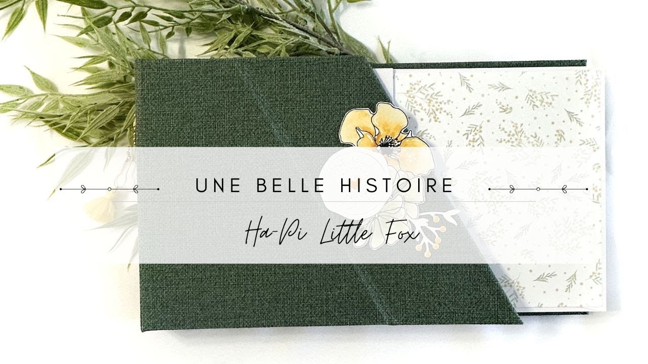 Présentation album « Une belle histoire «  pour Ha-Pi Little Fox