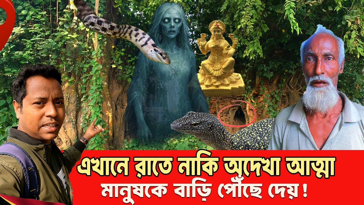 এখানে রাত নামলেই জেগে ওঠে অদেখা রক্ষক! মথুরাপুর গ্রামের অলৌকিক গাছের রহস্য | Bogura Documentary