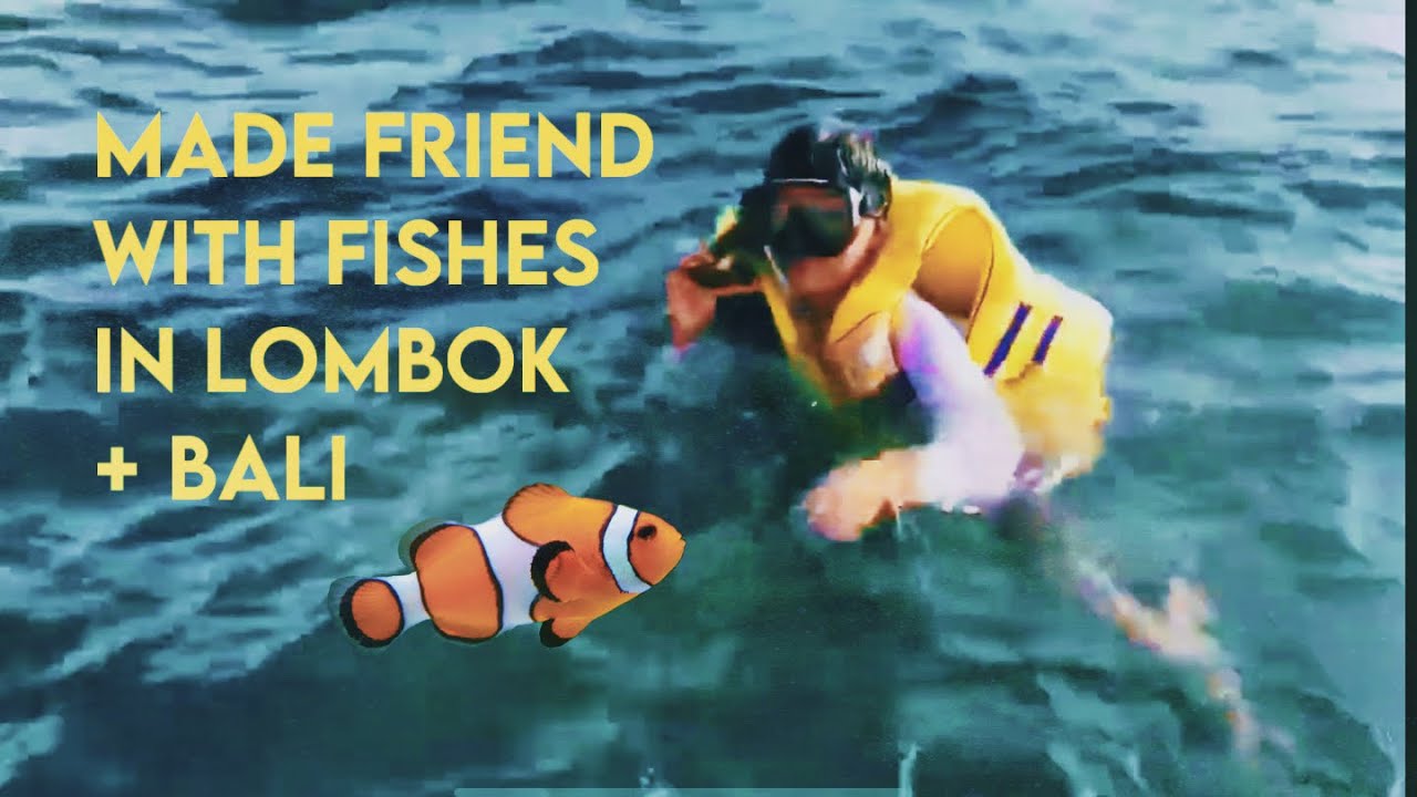 Snorkling in Lombok? YES ‼️ BALI BEACHES are the BEST 🌊