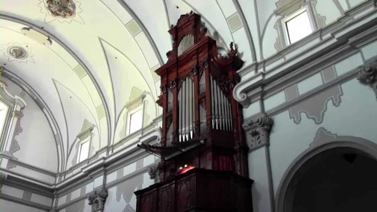 Matthias Weckmann: Canzon in d (III). Arturo Barba, 1744 Montesa historic organ
