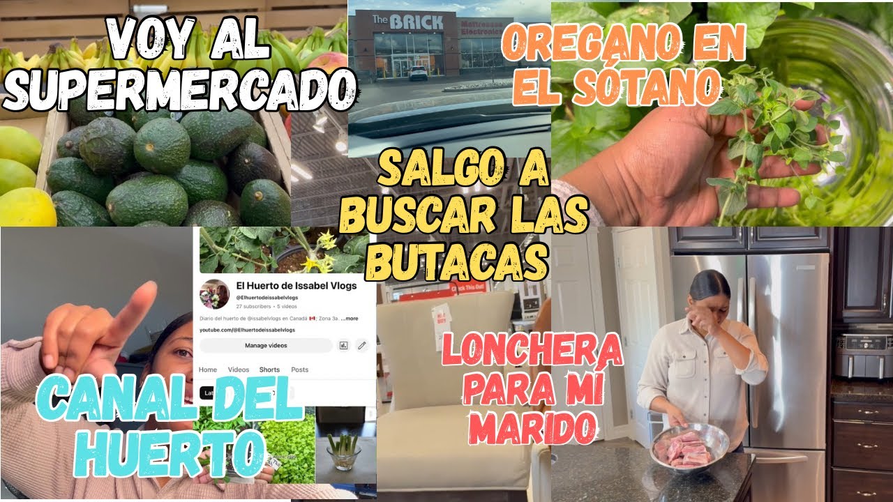 Vuelvo por las butacas. Tengo orégano en el sótano. Lonchera para mi marido. No hay comida en casa.