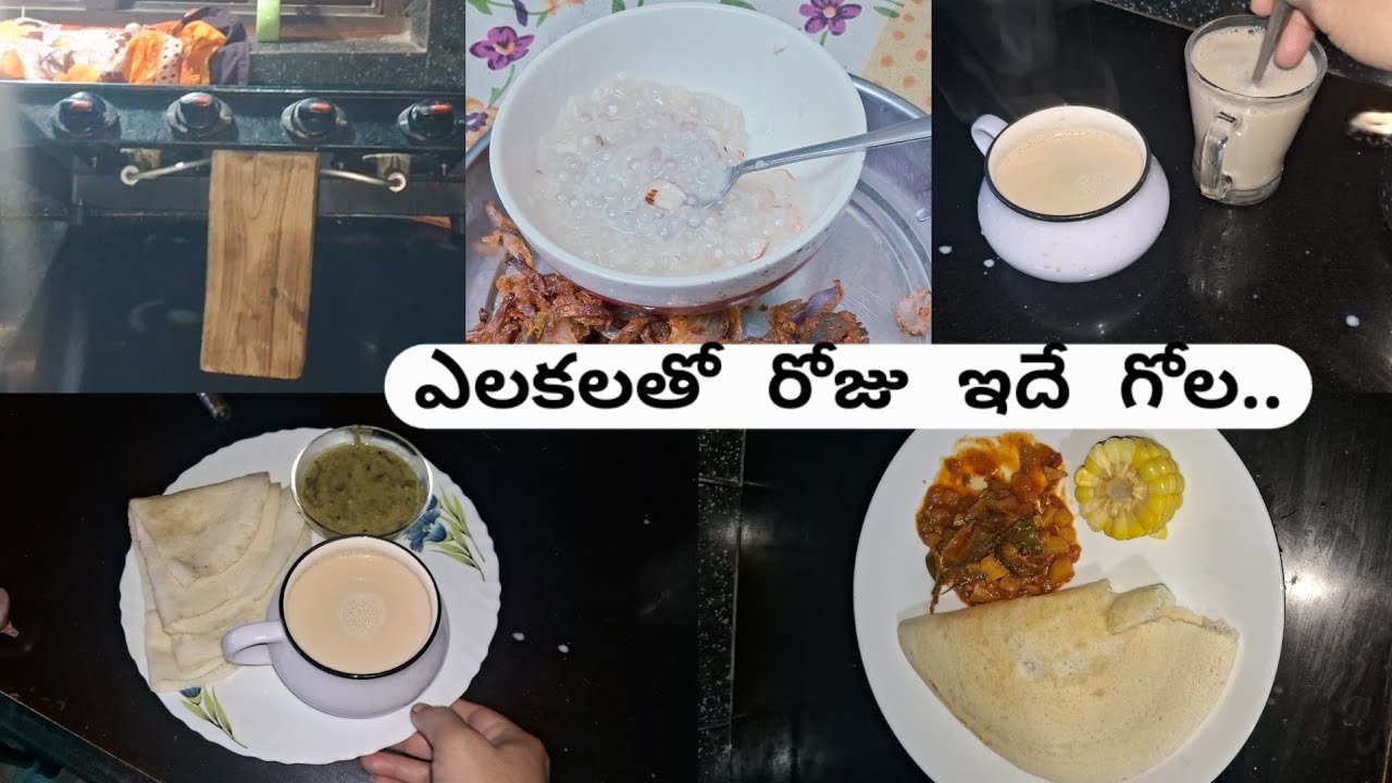 ఎలకలు రోజు ఇలా చేస్తుంటాయి స్టవ్ ని 
