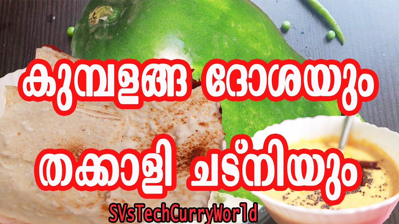 Kumbalanga Dosa |കുമ്പളങ്ങ| Easy & Healthy Break Fast |White Pumpkin Dosa VSFolkMedia