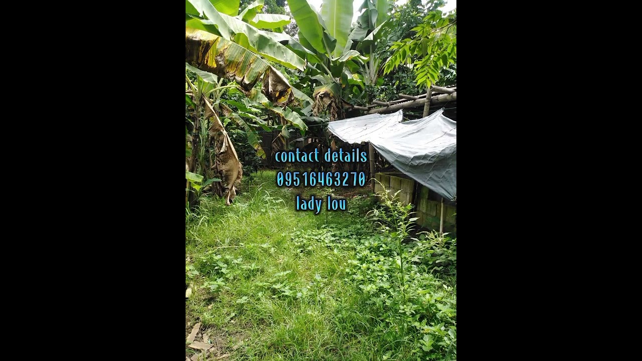 Murang Farm Lot sa Batangas City!🌄🍌🥑🌳