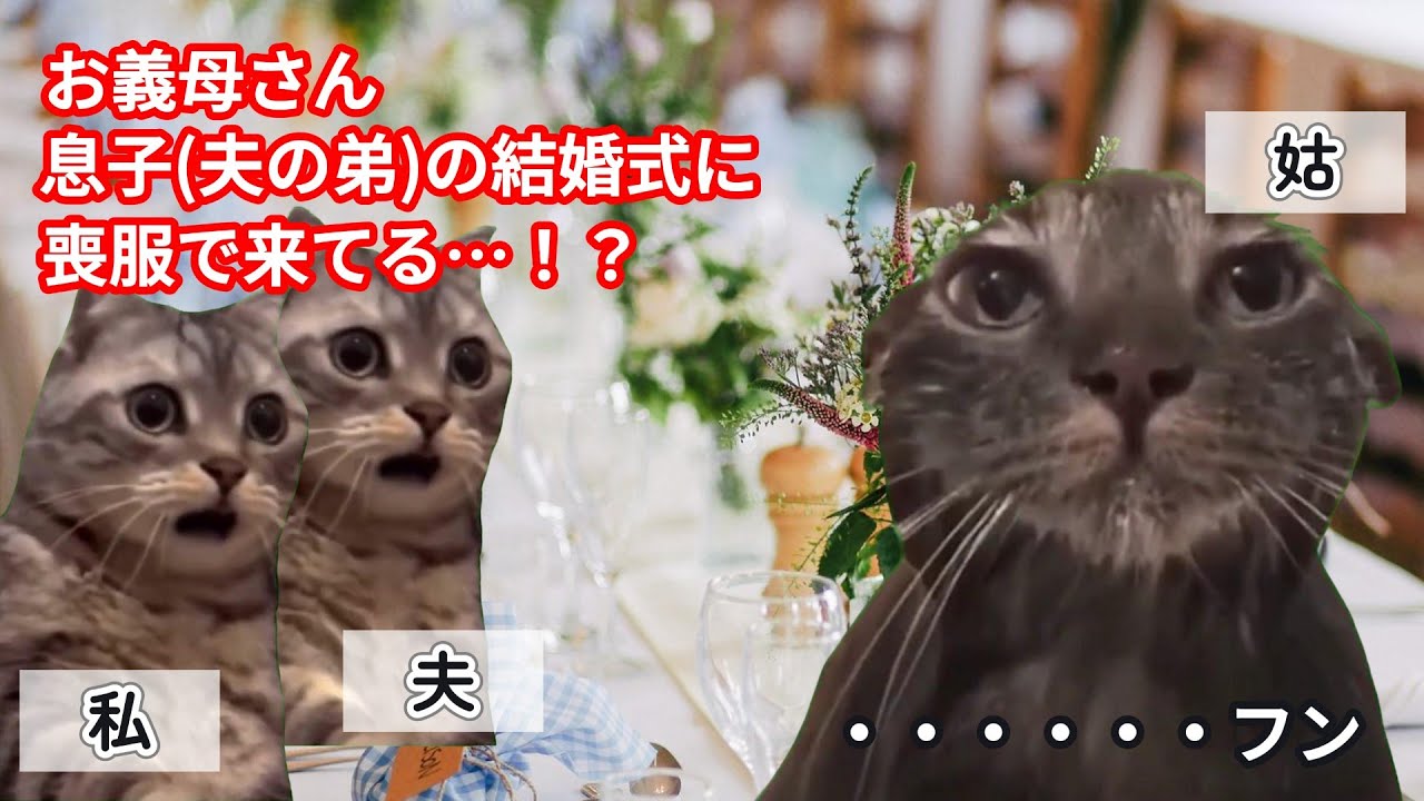 【スカッと猫ミーム】姑の行動が異常すぎて縁を切った話#猫マニ #猫ミーム