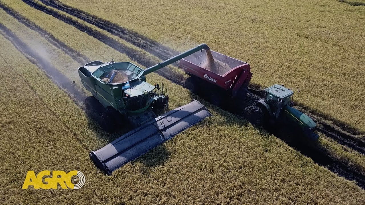 Adecoagro: El exitoso modelo integrado del mayor productor de arroz de Argentina (#1124 2025-02-22)