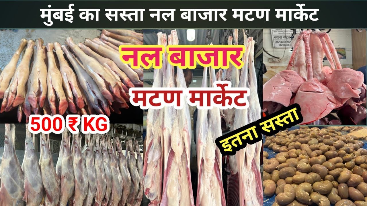 Mumbai Wholesale Mutton Market | Null Bazar Mutton Market | Mirja Galib Market