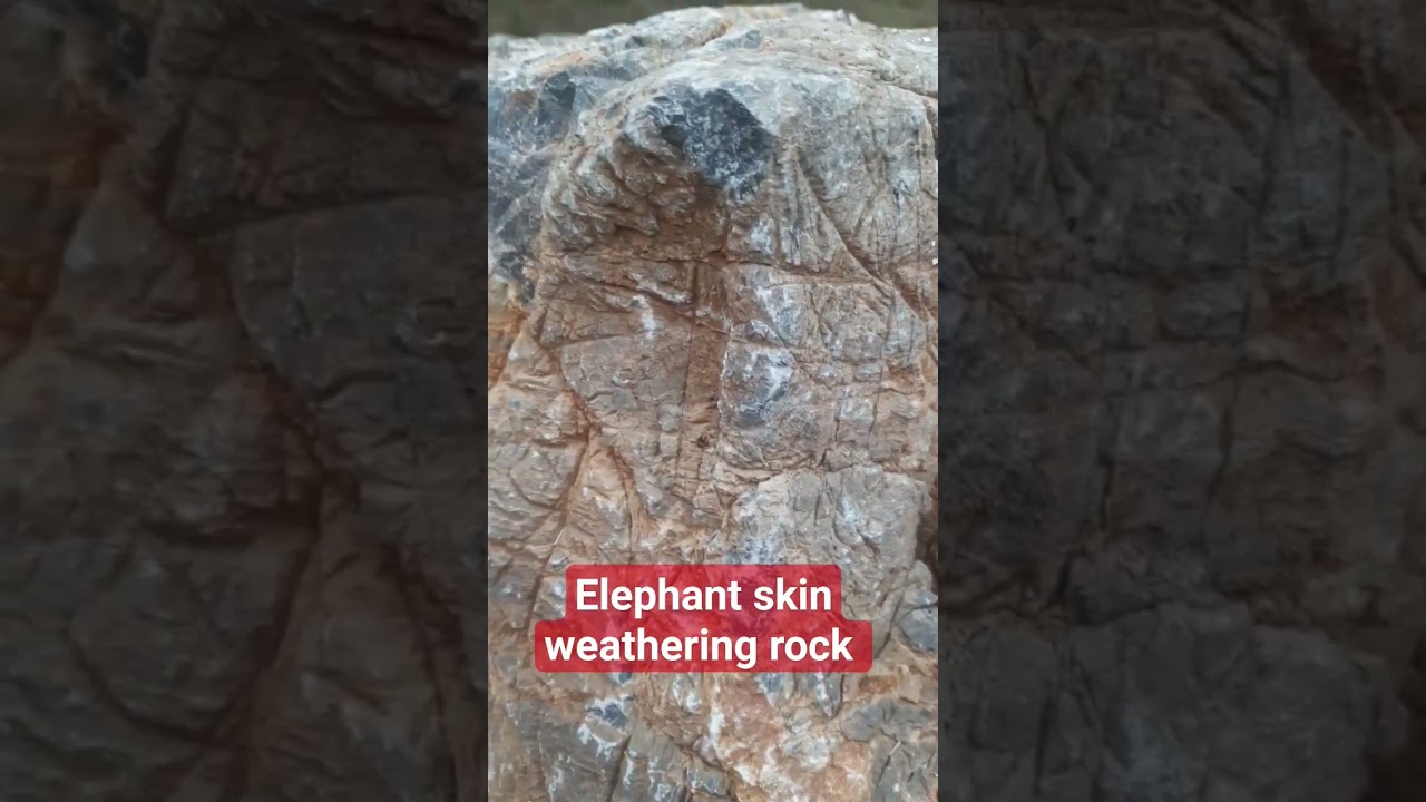 elephant skin weathering rock limestone #limestone  #elephant #skin #weathering #natural #raw #rock