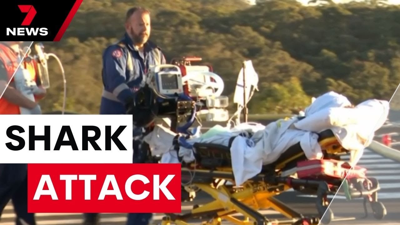 A young surfer has lost a leg to a 3-metre shark on the mid-north coast | 7NEWS