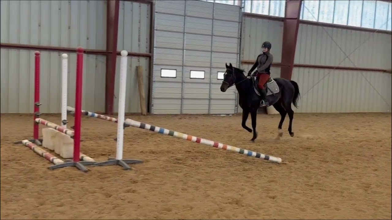 Phillip First Verticals