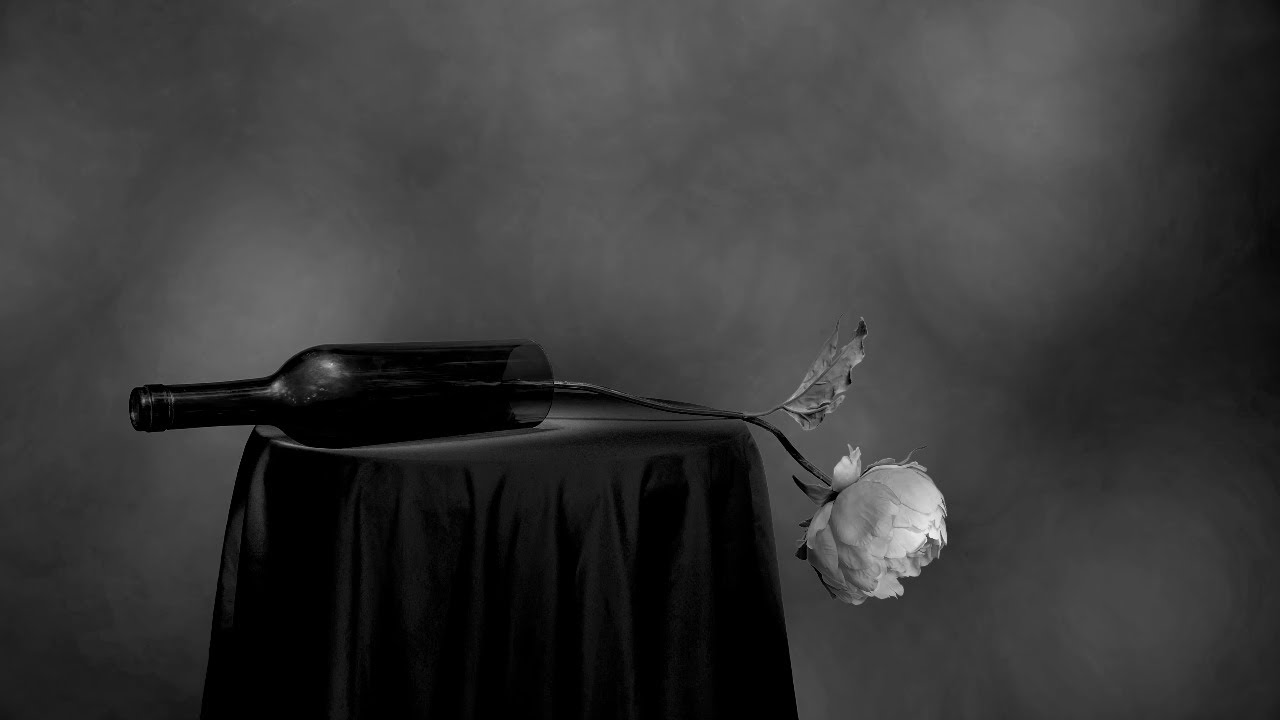 STILL LIFE PHOTOGRAPHY: BLACK & WHITE FLOWER LIGHT PAINTING
