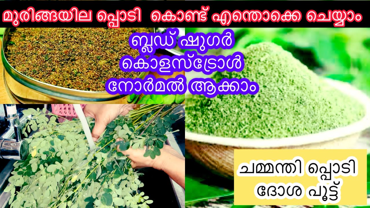   ഇനി മുരിങ്ങ യില ആരും വെറുതെ കളയില്ല || മുരിങ്ങയില  ചട്നി പൌഡർ വീട്ടിൽ ഉണ്ടാക്കാം.