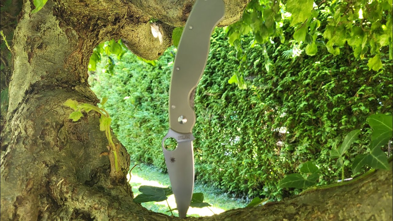 Spyderco Military моё мнение  #spydercomilitari#ножи#складные#кухня#природа