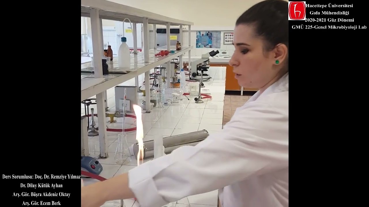 Uygulama- 4 Besiyeri Hazırlama Uygulaması / GMÜ225 Genel Mikrobiyoloji Uygulama Dersi