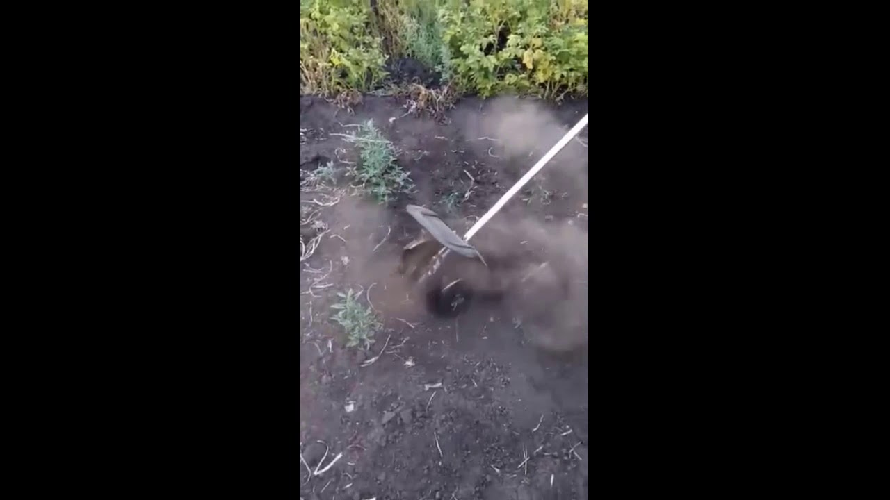 Мотокоса фирмы tatragarden MK 35D, которую мы приобрели этим летом.