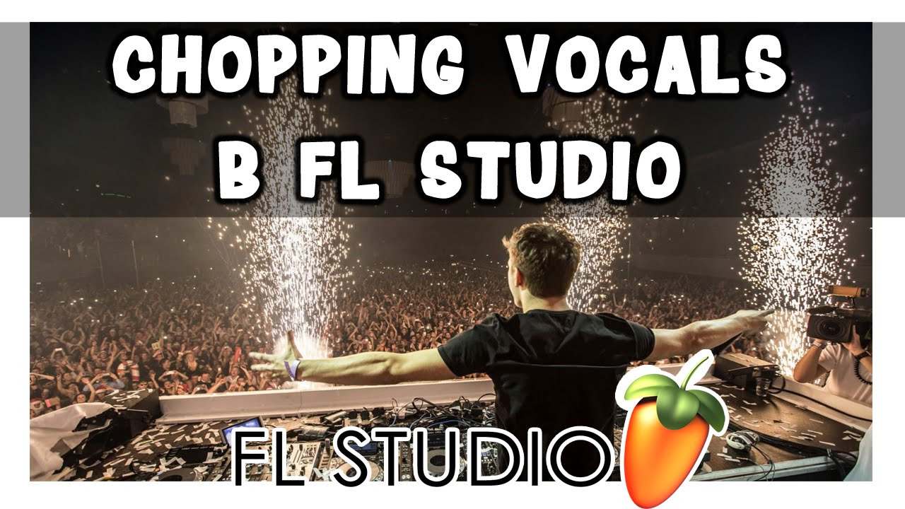 Играем вокалом в FL Studio (Как у Martin Garrix)