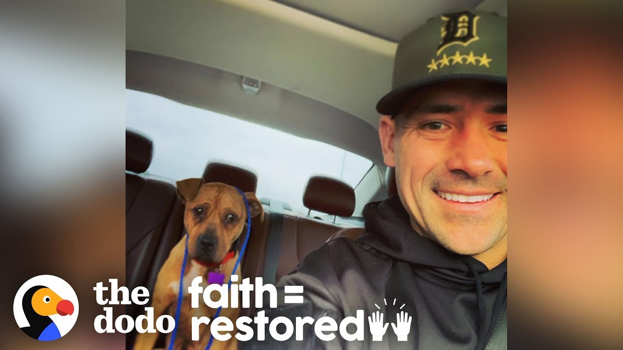 Cop Rescues Pit Bull In -20 Degree Windchill | The Dodo Faith = Restored