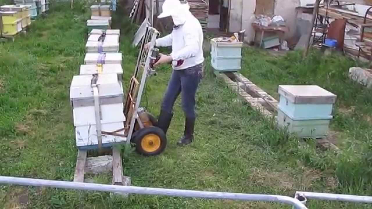 12 05 15 005