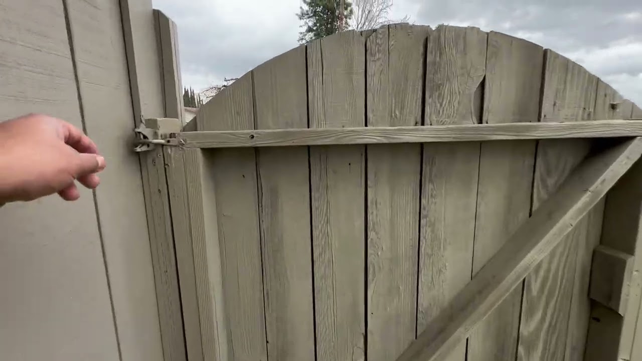 IMG 3755 2