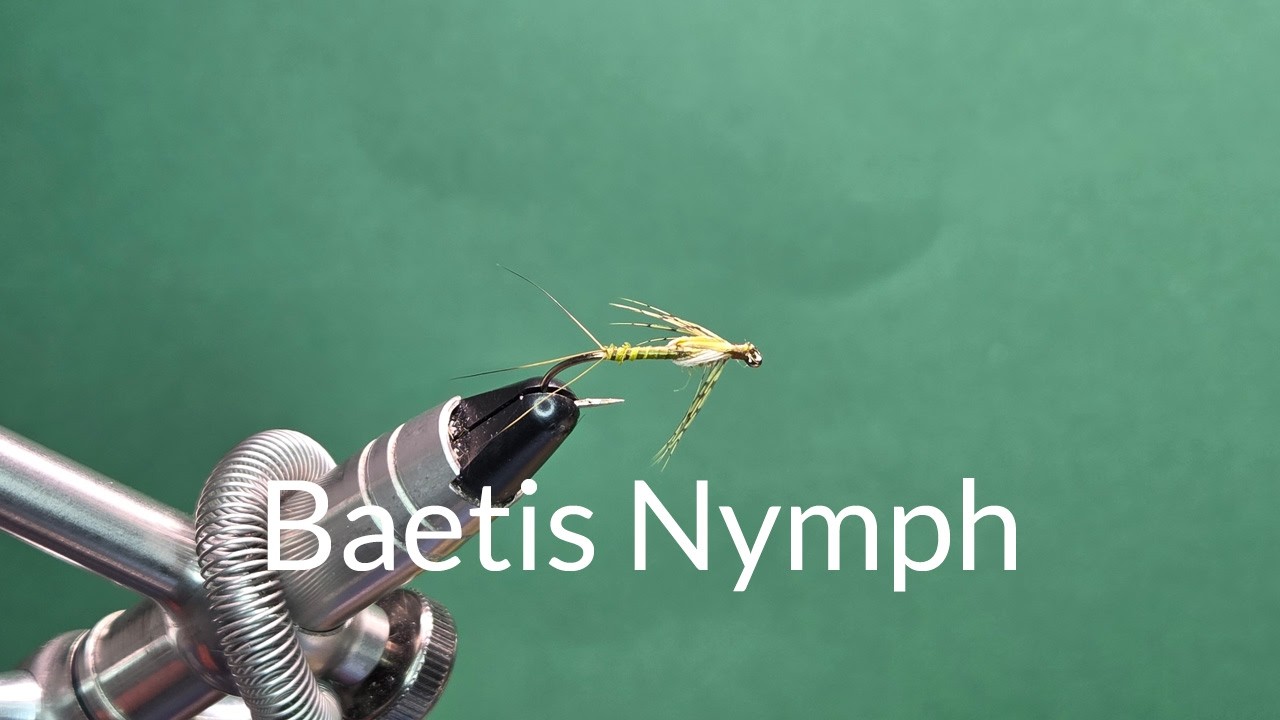 Baetis Nymph - One Fly A Day
