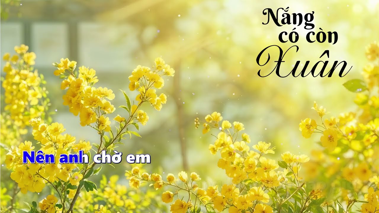 KARAOKE NẮNG CÓ CÒN XUÂN- TONE NAM || Min Min Karaoke