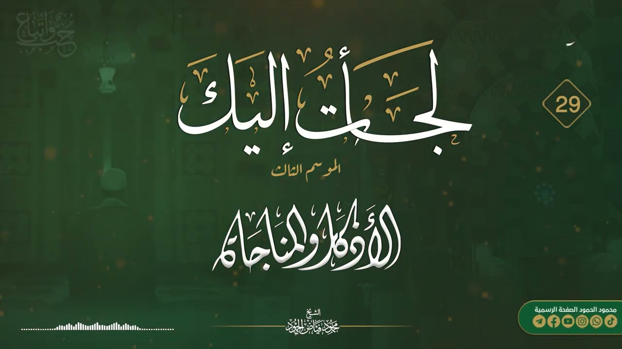 برنامج لجأت إليك || الموسم الثالث اليوم التاسع والعشرون || الشيخ محمود الحمود
