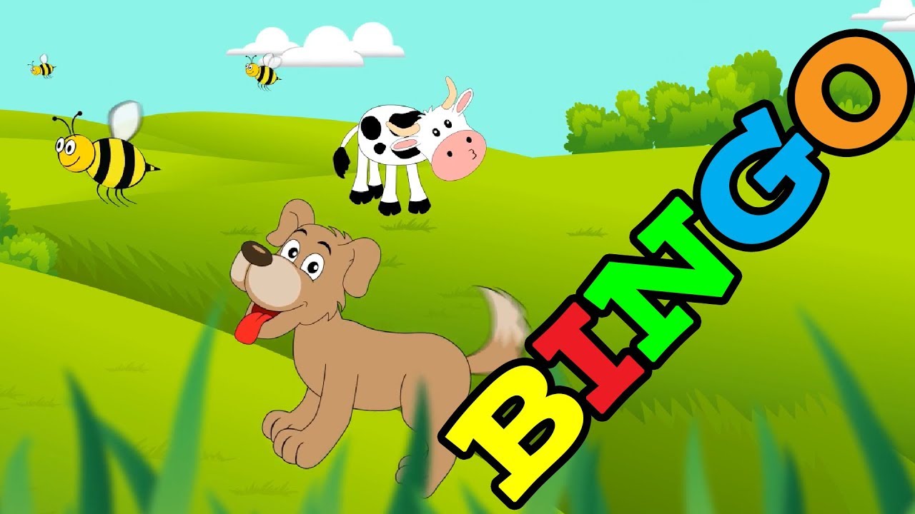 Песня BINGO для собак - Песня Бинго для детей