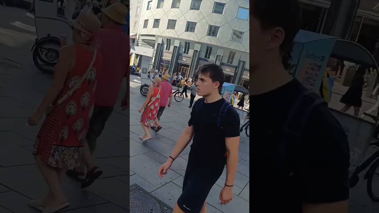 Satisfying Video at Vienna, AUSTRIA/ Stephansplatz #ASMR #entertainment  #travel