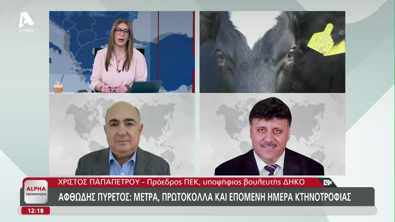Θανατώσεις ζώων: Τι ζητούν οι οργανώσεις, οι διαβεβαιώσεις που έλαβαν