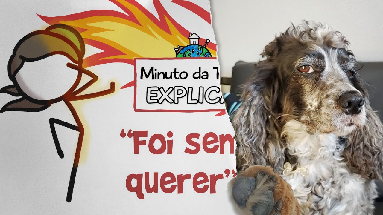 Sem querer (querendo): Minuto da Terra Explica