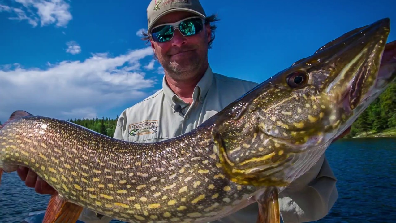 Explosive Pike Fishing in Saskatchewan