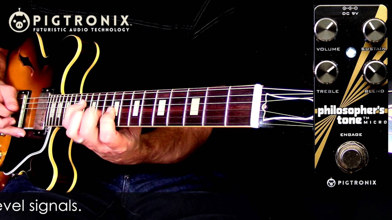 Pigtronix Philosopher's Tone Micro