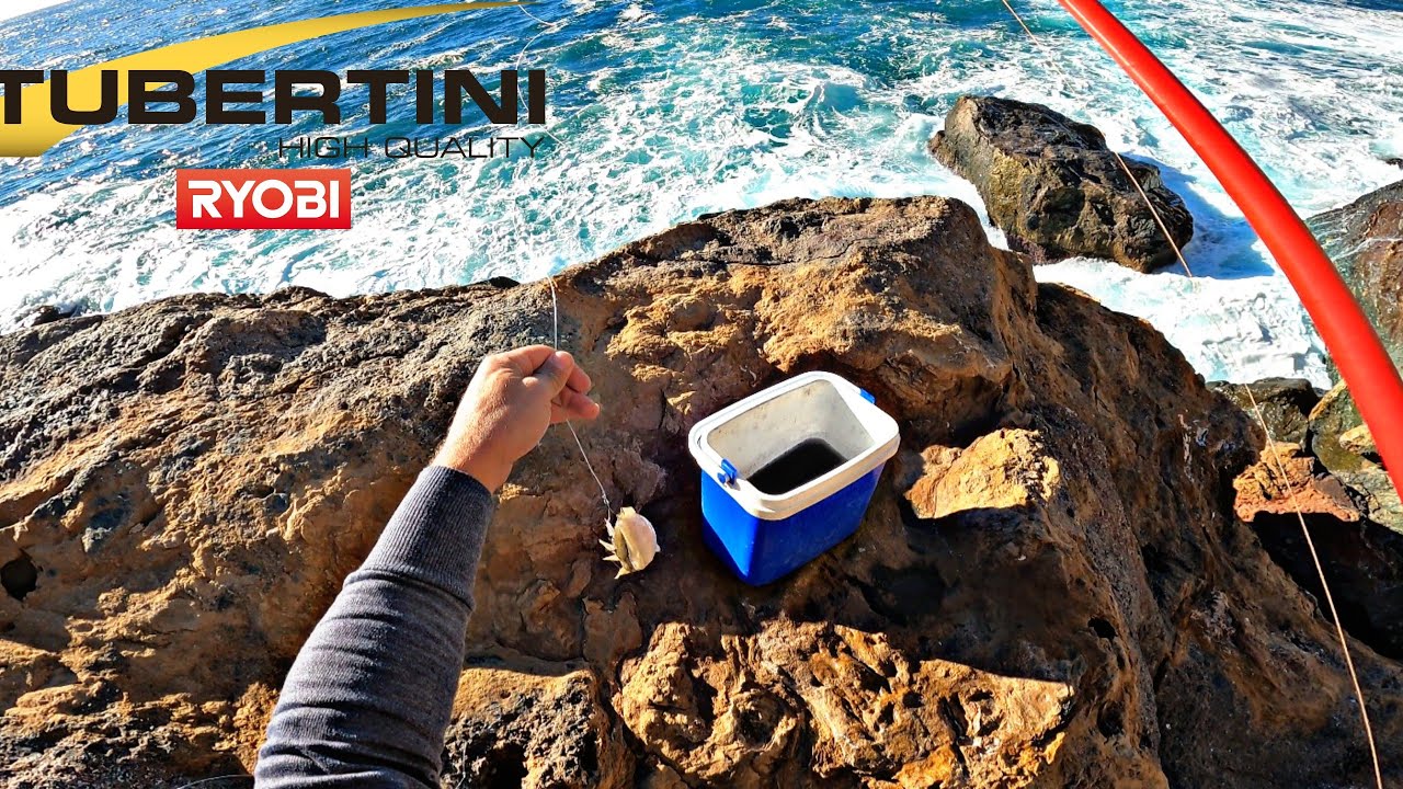 PESCA EXTREMA EN CARTAGENA 🔴COMO PESCAR AL VIVO?‼️🇪🇦SISTEMA TIROLINA