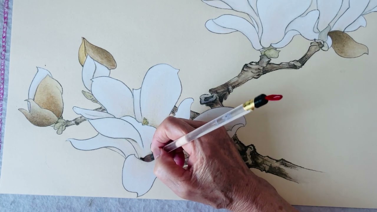 20220420传统工笔花鸟画白玉兰的画法（七）