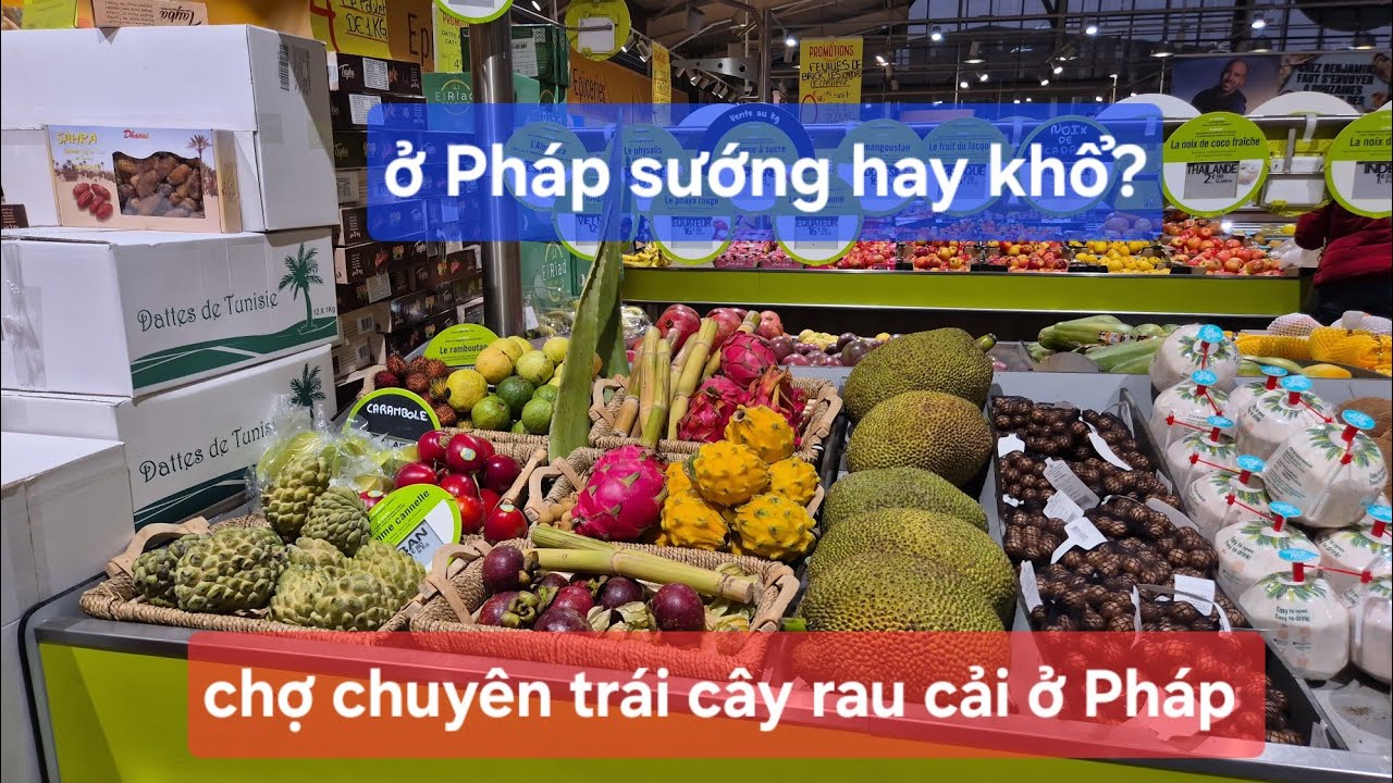 Đi làm lúc 5:30 sáng trong cái rét của mùa đông/ chợ chuyên trái cây rau cải ở Pháp.