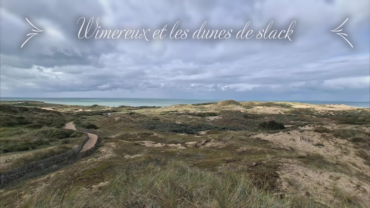 Wimereux et les dunes de slack