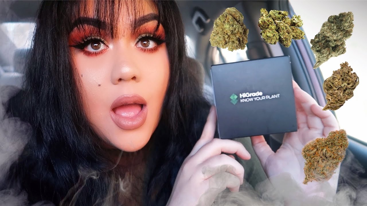 Car Hot Box Smoke Sesh: Using HiGrade To Test My Weed At Home!!