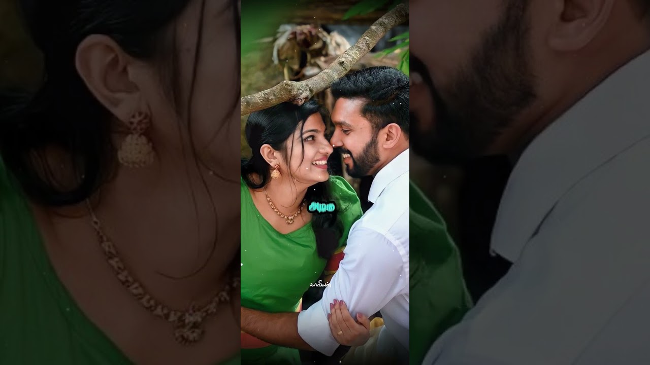 Ammadi Idhu thaan kaadhala  Song HD WhatsApp Status #bhagyaraj #spb #chitra #trending #viral