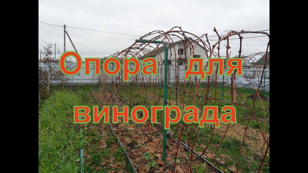 Виноград.Шпалерная  опора для винограда своими руками .