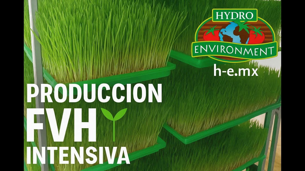 Producción intensiva de FVH 🌱 | Guía práctica | Hydro Environment