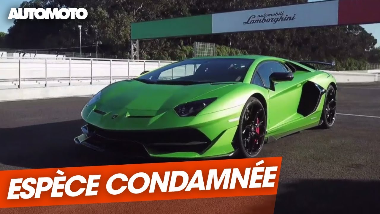Lamborghini Aventador SVJ : La Supercar ultime