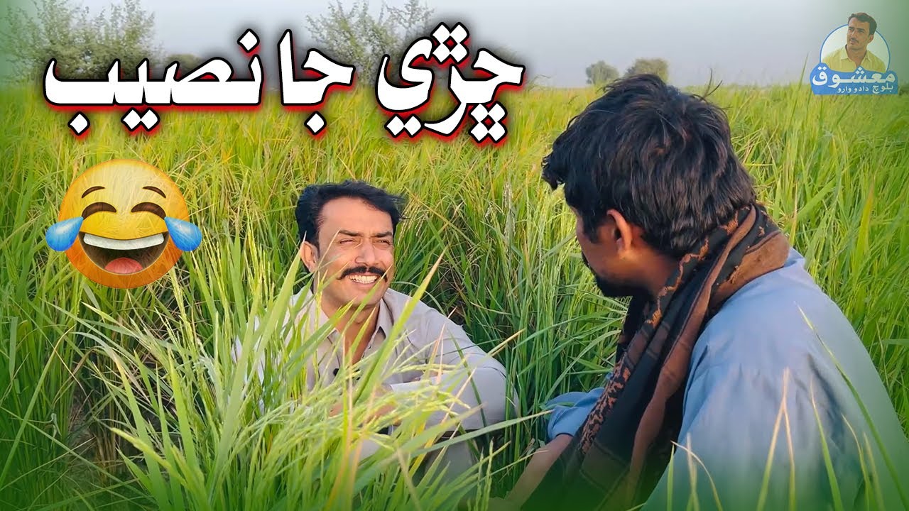 Chharhe Ja Naseeb ! Mashooq Baloch, Sindhi Funny Comedy