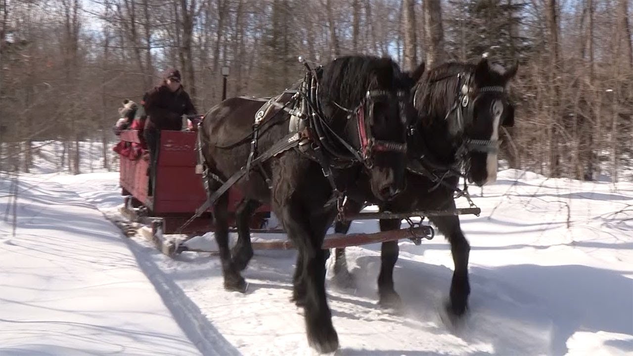 Brandt Sleigh Rides