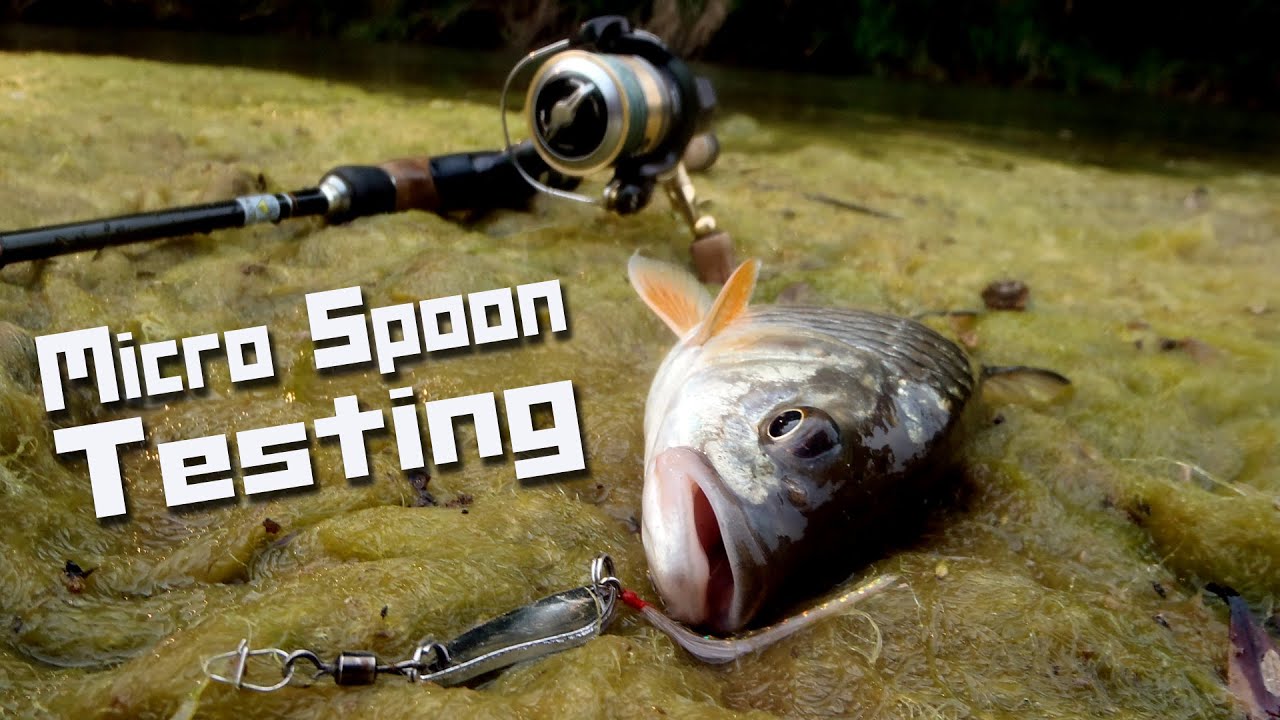 Micro Spoon Testing