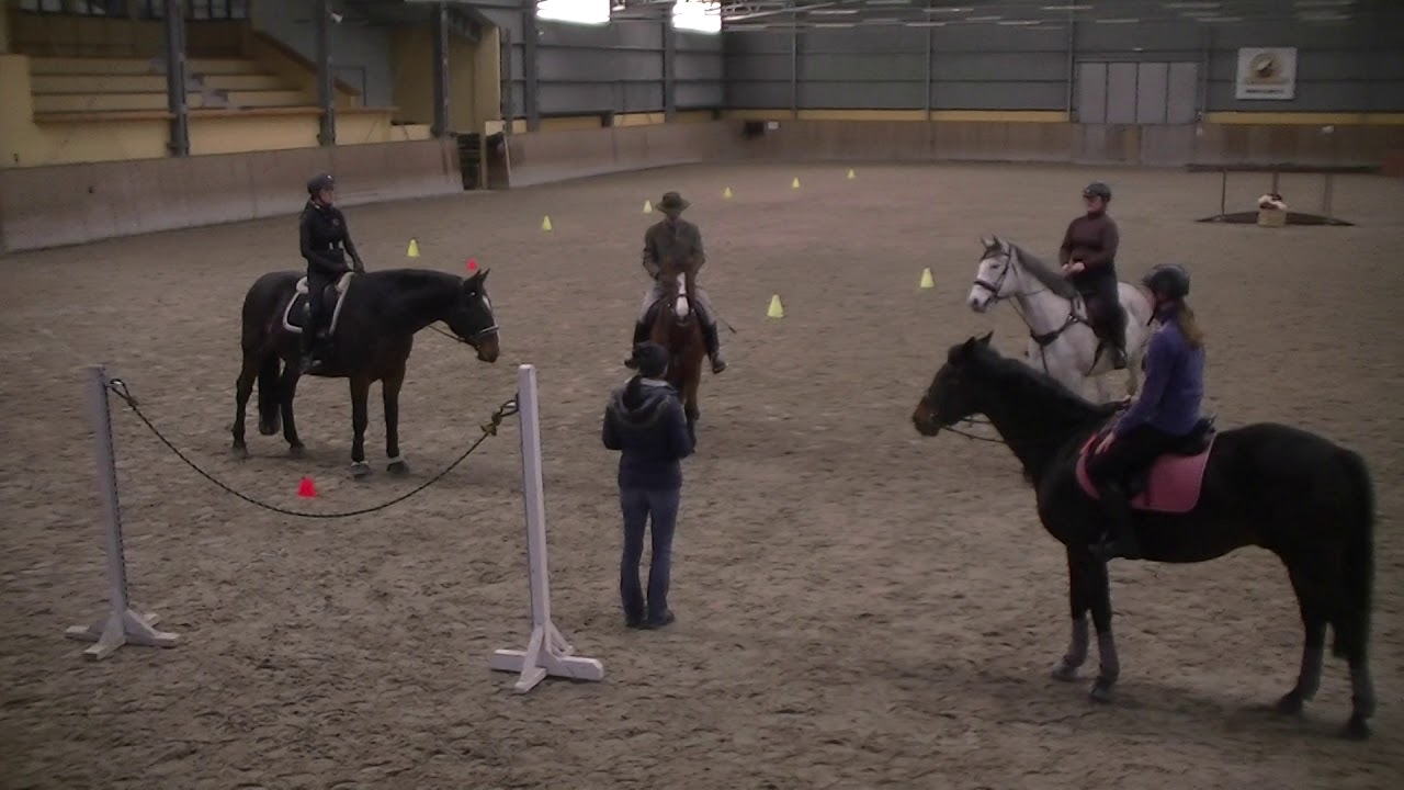 Working Equitation dzień otwarty - szkolenie cz.1